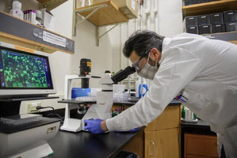 INSF, Tehran University of Medical Sciences to improve cancer research