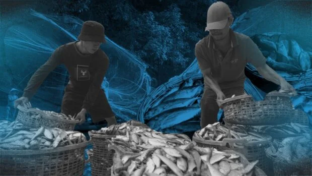‘Protect our seas’: Fisherfolk respond to Marcos’ Sona