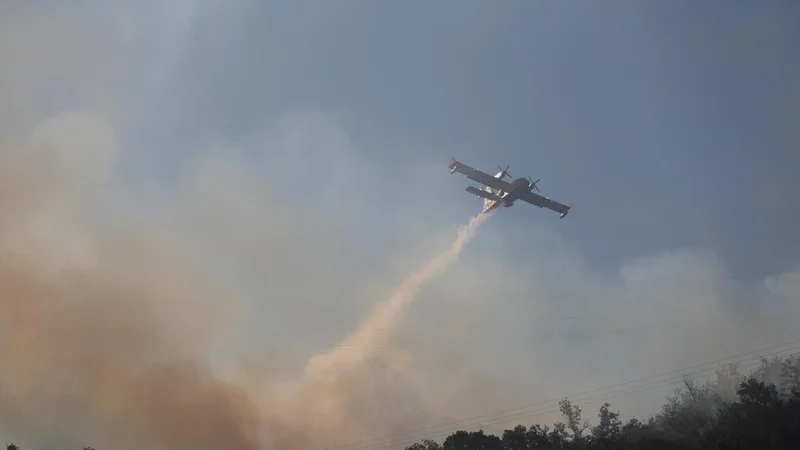 Thousands flee raging wildfires in southern Europe