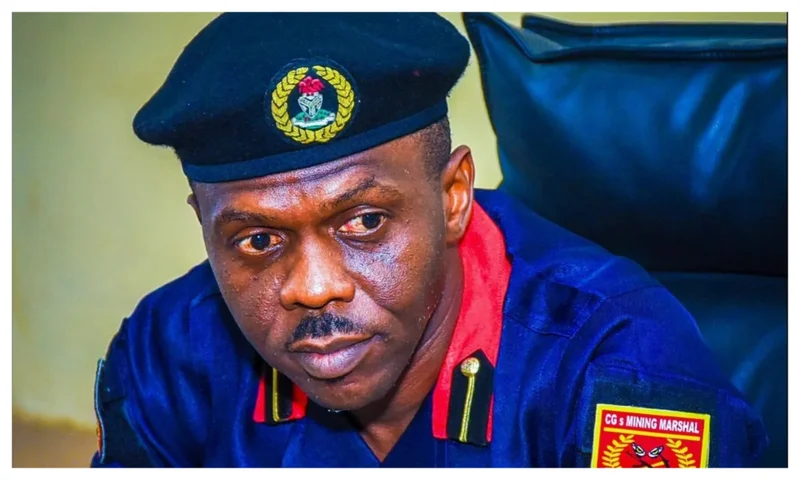 Mineral resources shouldn’t be curse for Nigerians — Onoja