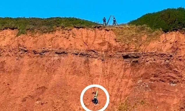 Cockapoo has miraculous escape after falling off 170ft cliff onto tiny ledge
