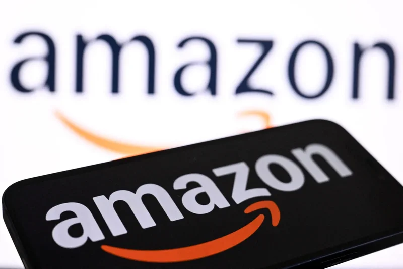 Amazon and Walmart AI can spot fake ‘Made in USA’ labels but do not flag them, study says