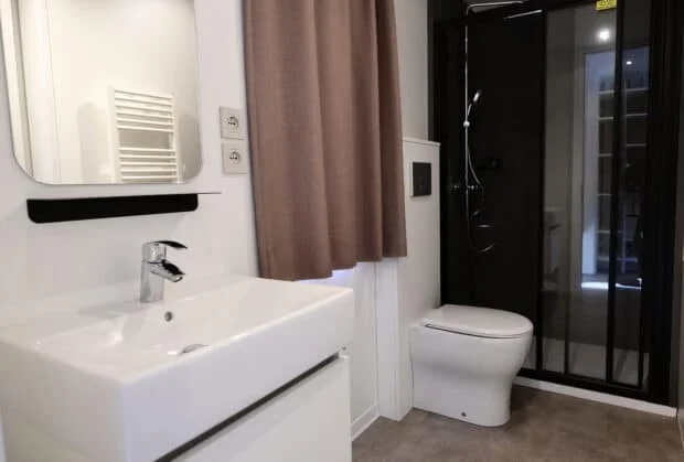 'We can see your washing': NZ politician joins meeting from bathroom