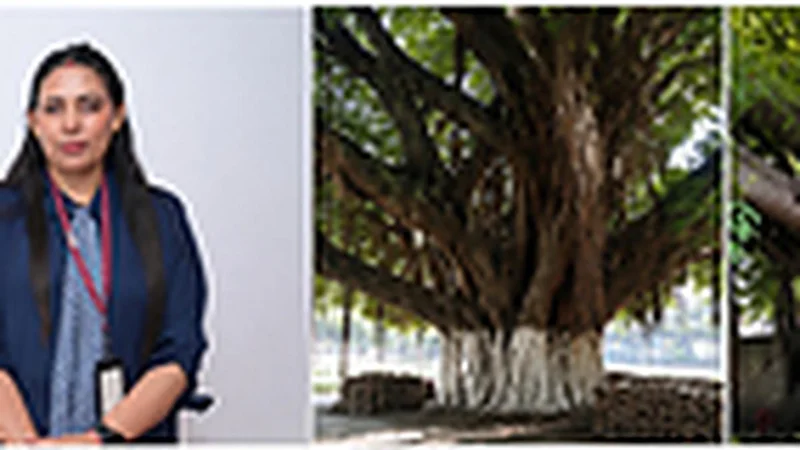 Chandigarh University Launches Heritage Tree Conservation Project to Digitally Map and Preserve Centuries-Old Heritage Trees in Mohali