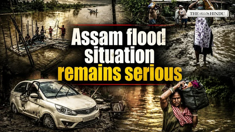 ₹1,000 crore needed to rebuild flood-hit Assam