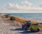 ‘A new normal’: Miami faces worsening seaweed problem as piles of algae wash up on beaches