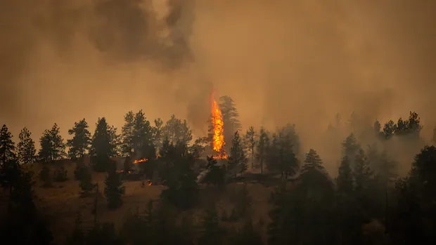 What you need to know about B.C.'s wildfires
