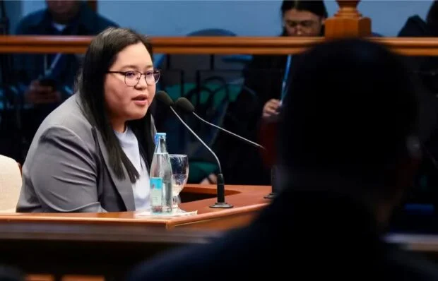 Auditor: OVP charged tree planting, Christmas party to confidential funds