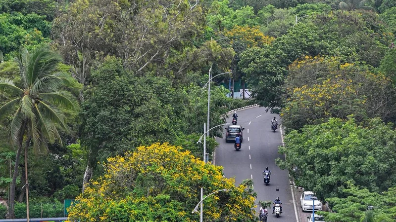 CAG audit flags major gaps in Green India Mission implementation