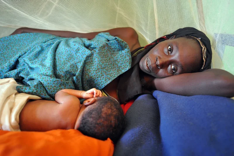 1 in 5 pregnant and breastfeeding women in  eastern Chad acutely malnourished