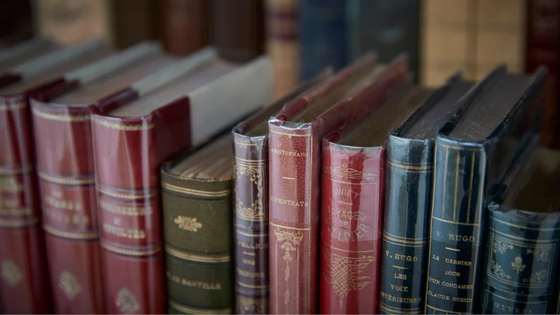 Independent bookstores in Europe receive suspicious orders for thousands of books, prompting fears they'll be destroyed to train AI — sellers believe acquisitions are part of AI tech companies’ push to get more data