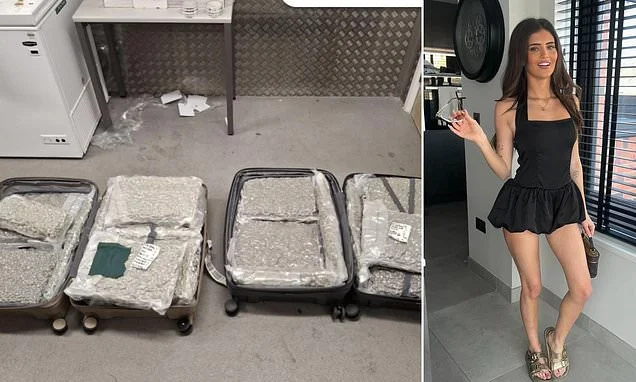 Record 1,000 drug mules arrested for smuggling cannabis into UK as police warn gangs on social media are luring young Britons with promise of influencer lifestyles