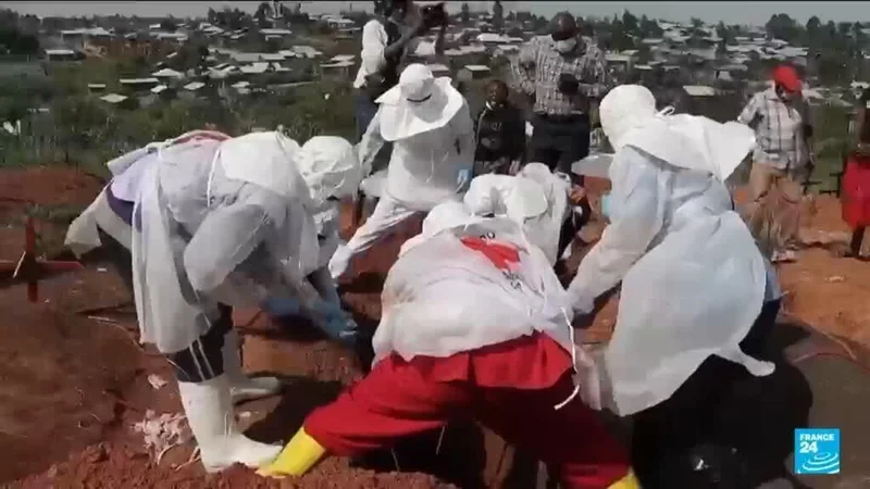 Ebola outbreak in DR Congo: One death every 30 minutes