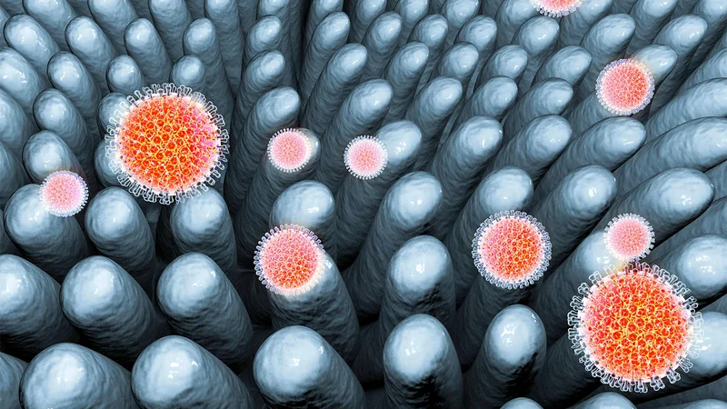 Vaccine Prevents Acute Gastroenteritis Deaths in Cases Caused by Rotavirus