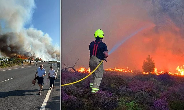 Rewilding link to record fires: After 1,017 wildfires ALREADY this year, eco-dogma is blamed for turning the country into a tinderbox