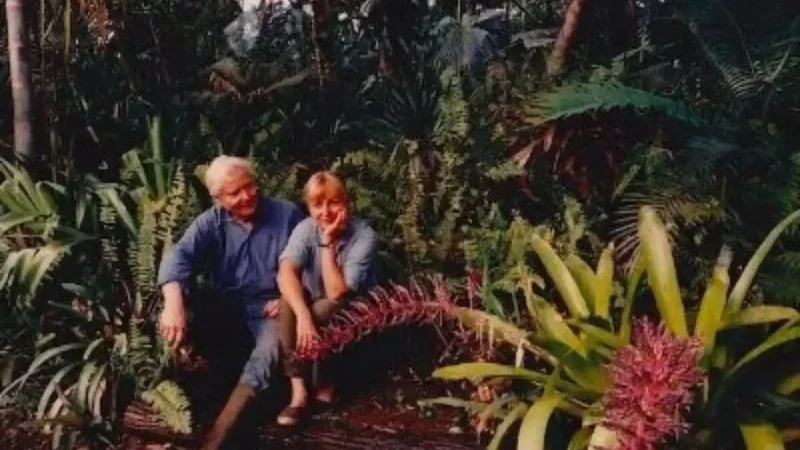Pulitzer-winning poet transformed barren Hawaii land into 19-acre forest