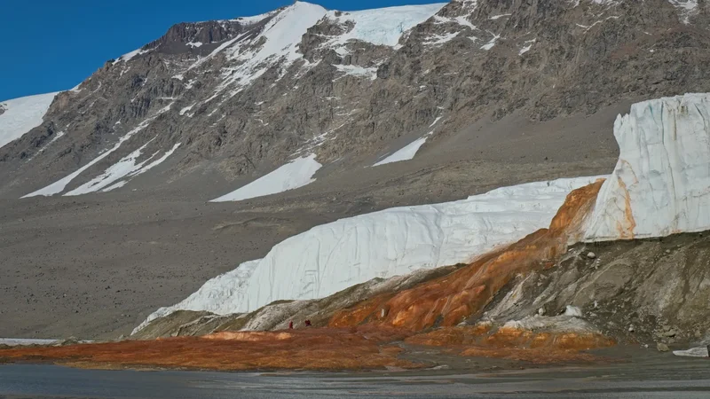 Antarctica’s Blood Falls teems life from unexpected source