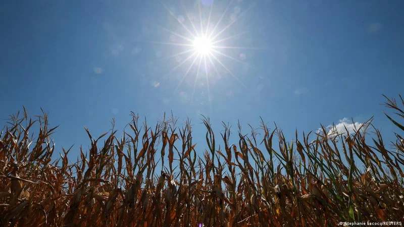 Designing food for a hotter world