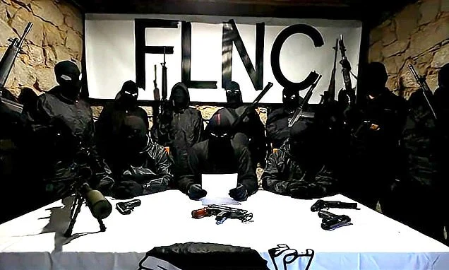 Armed group warns tourists to stay away from Corsica and issues threat to anyone thinking of buying a second home on the island