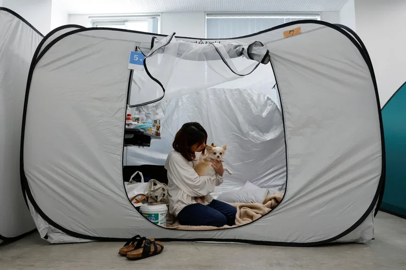 Animal hospital opens makeshift shelter for evacuees seeking refuge after Japan earthquake