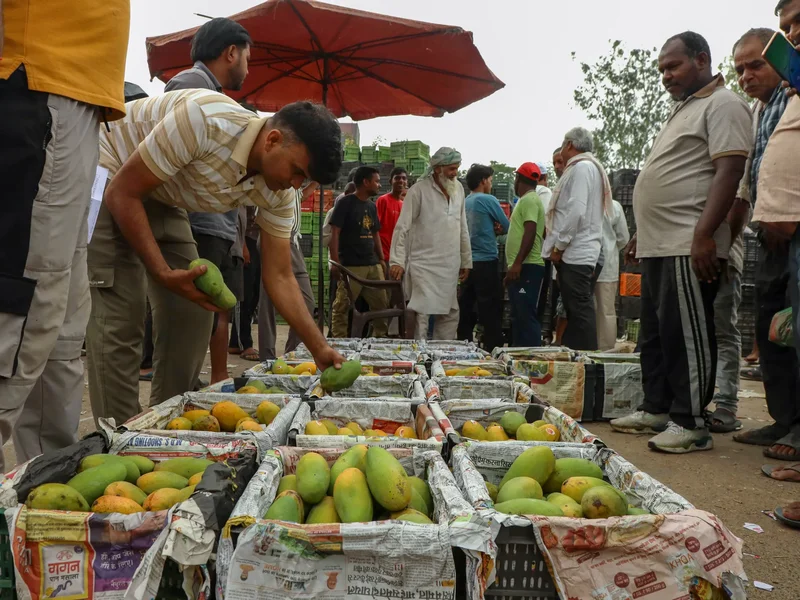 Why have several nations raised red flags over Indian farm exports?