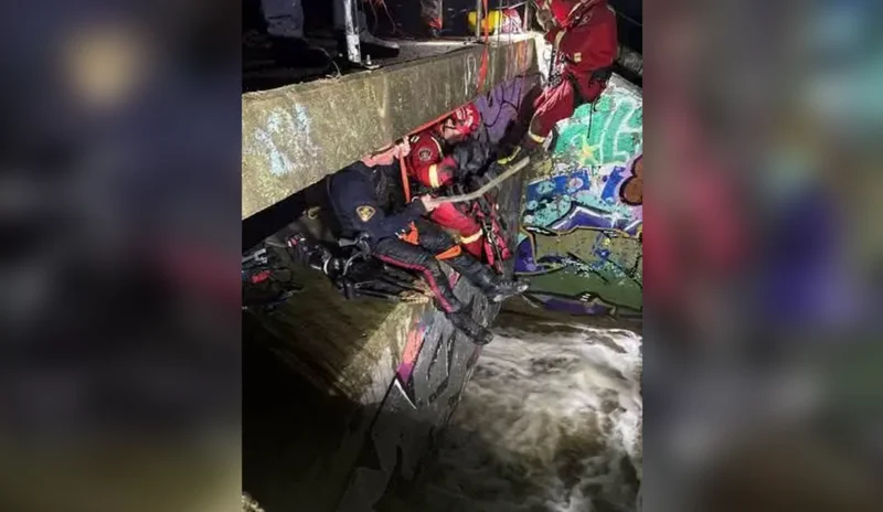 Man rescued from storm drain at Saskatoon dog park