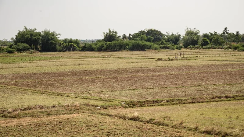 Farmers largely disappointed with Agriculture Budget, welcome some initiatives
