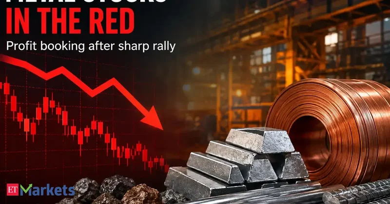 Hindustan Copper, Vedanta, other metal stocks slip up to 2% after sharp gains. Should you buy the dip or avoid?