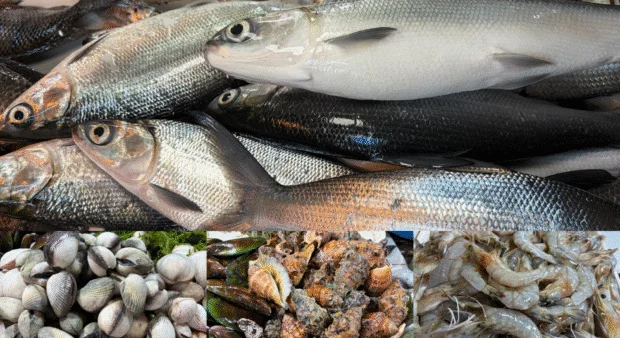 Presyo Merkado (Aug 2): Bangus P240/kilo at Minglanilla Public Market