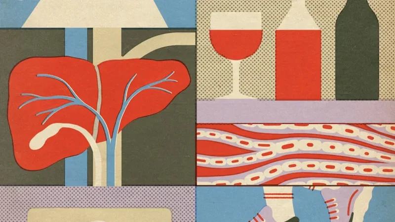 From alcohol to diet and exercise: The best and worst habits for your liver
