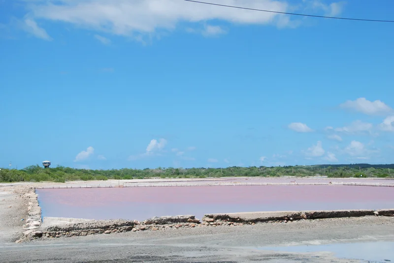 Puerto Rico Clears a First Step for the US$2 Billion Esencia Resort