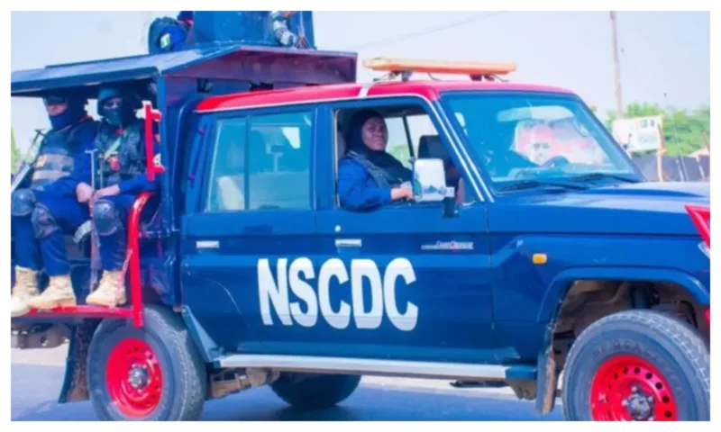 NSCDC arrests suspect over Great Green Wall fence vandalism in Jigawa