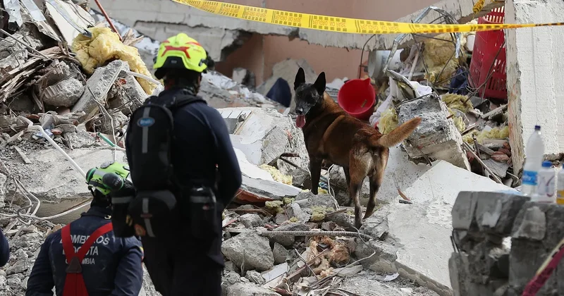 Search for survivors of Colombia earthquake enters "final phase"