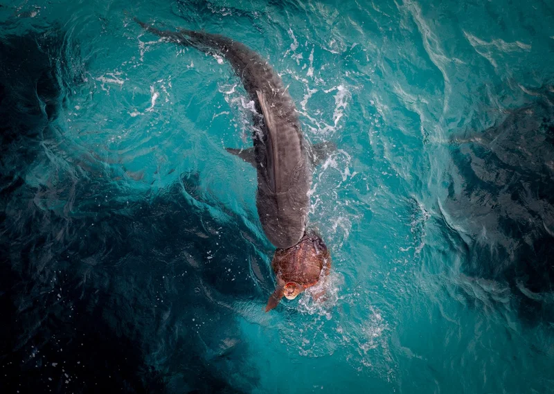 16 gorgeous images from the 2026 Aerial Photographer of the Year Awards
