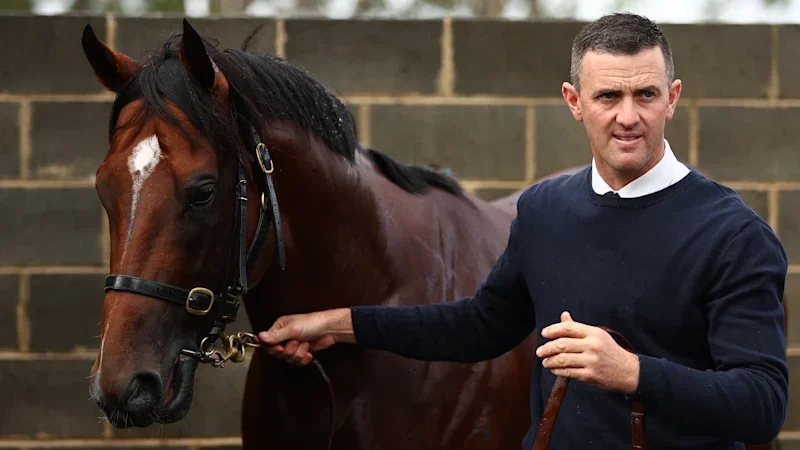 Price hopes Canterbury return can start Monte Veebee on road to riches