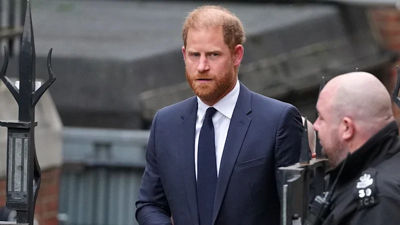 Prince Harry diverts funding from charity he co-founded to help elephants