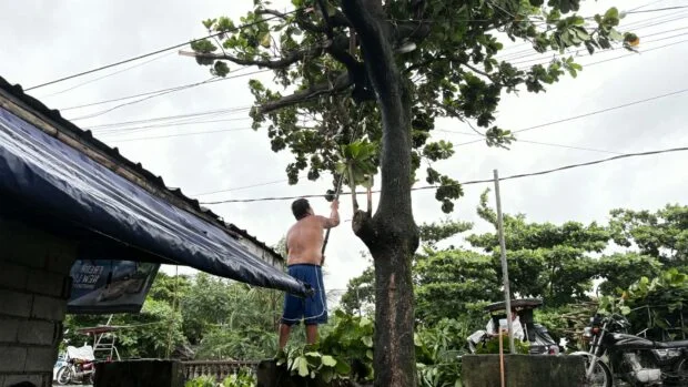 11 houses damaged as strong winds hit Zambales town