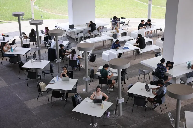 NUS makes AI courses compulsory, gives all students and staff free ChatGPT Edu access