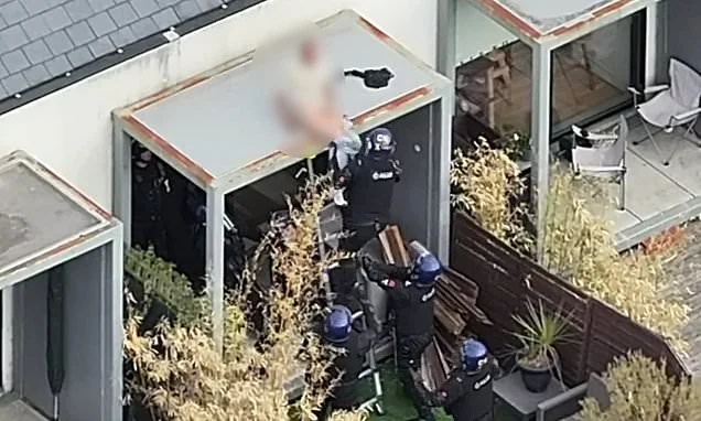 Get your trousers back on, you're nicked! Moment riot police pull wanted man's pants down as they haul him off a roof