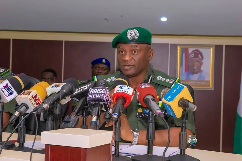 State Police: Former police chiefs raise concerns, submit recommendations – IGP Disu