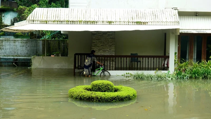 Yellow alert for Kozhikode, major rivers in spate