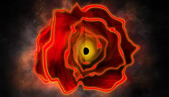 First Ever “Black Hole Star” Discovered at the Dawn of Time