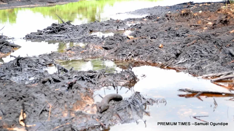 Bayelsa, among Nigeria’s most polluted states, says environmentalist