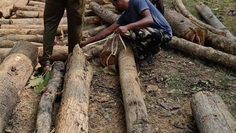 Forest Department to set up craft wood banks at six locations to support artisans in Andhra Pradesh