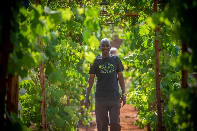 THE CONVERSATION: How local parks and community gardens can help cities adapt to climate change