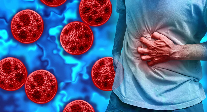 What Cyclospora does inside the gut and how it gets there