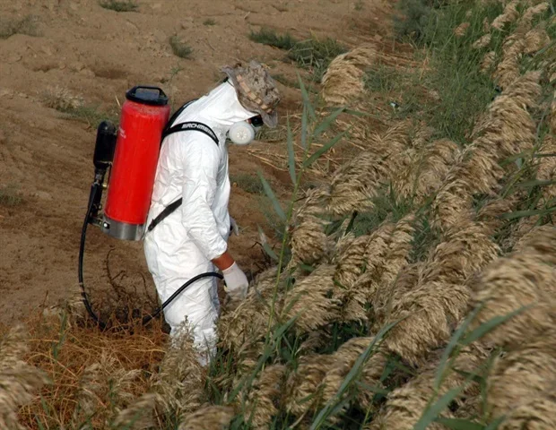 Occupational pesticide exposure may significantly increase ALS risk
