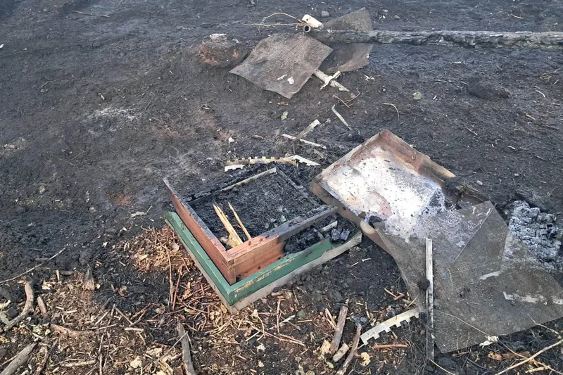 Suspected arson attack kills 200,000 bees as hives torched in Birstall