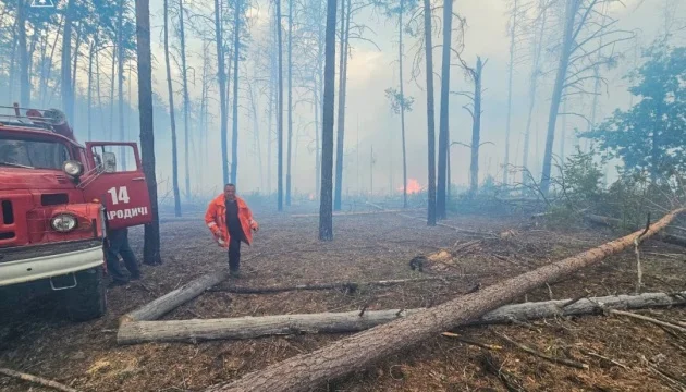 Fire-affected area in Drevlyansky Nature Reserve in Zhytomyr region expands to 49 hectares