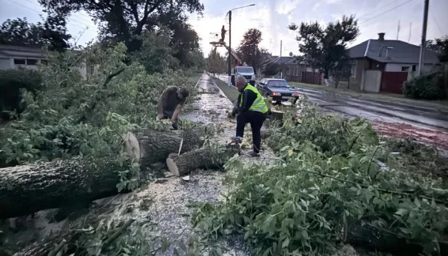 Dozens of trees fall in one of Kharkiv's districts due to bad weather